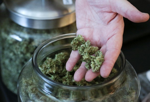 Native American Tribes and the Future of Marijuana