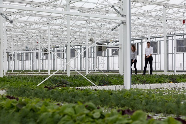Is Personalized, Next-Day Delivery the Future of Urban Farming?