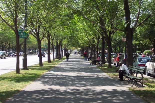 Walkability Is Good for You