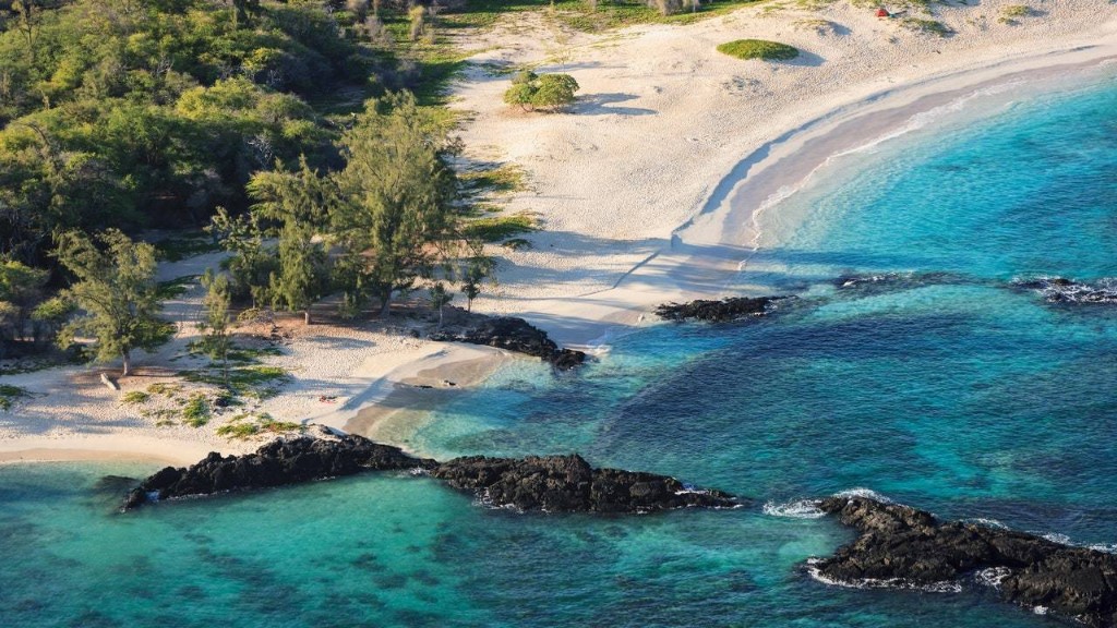 How Free Diving in Hawaii Taught Me to Slow Down in Life