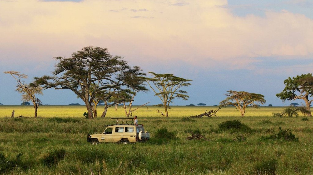 I’m a Safari Guide—And Coronavirus Will Change the Future of Safaris