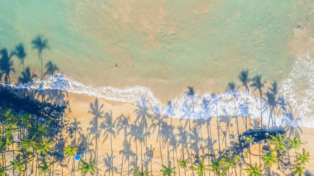 Should You Book Cheap Flight Deals Right Now?