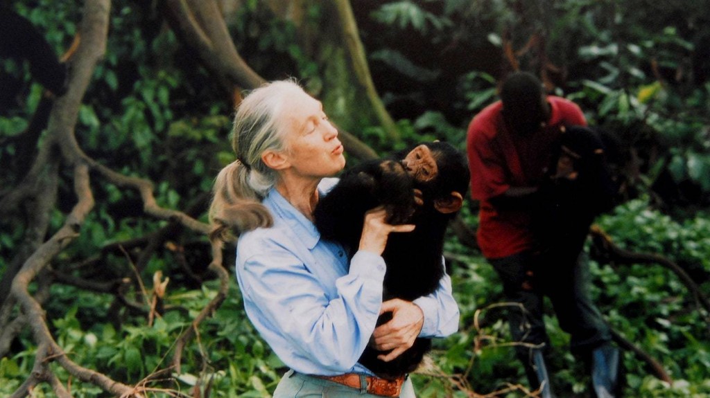 Dr. Jane Goodall Thinks We Can Be Better Travelers—For the Sake of the World