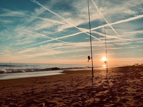 Enable this great Shoot Mode with Siri Shortcuts to take pictures in peace