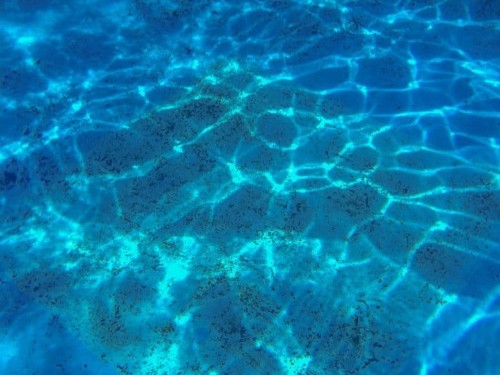 iPhone X miraculously survives 8 hours in the ocean