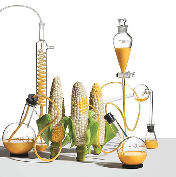 Top 10 Health Myths of 2014: Health Myths