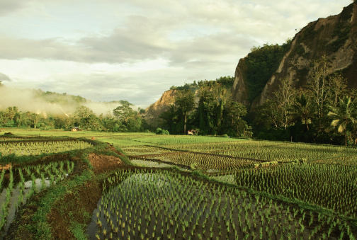Indonesia