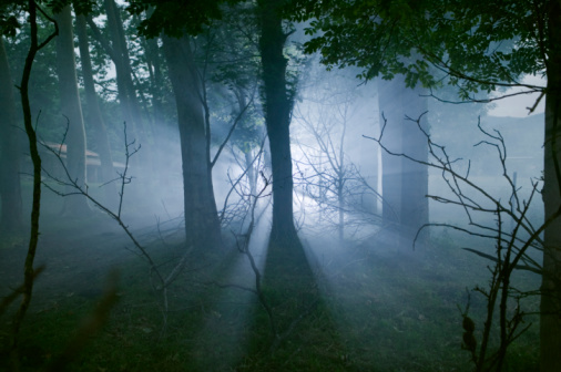 Paranormal