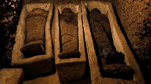 Egyptian archaeologists discover 50 unidentified mummies