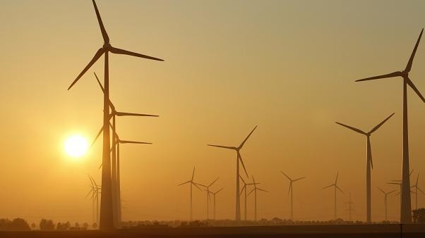 A németek áramfogyasztása tavaly már majdnem 43 százalékban megújuló forrásból származott