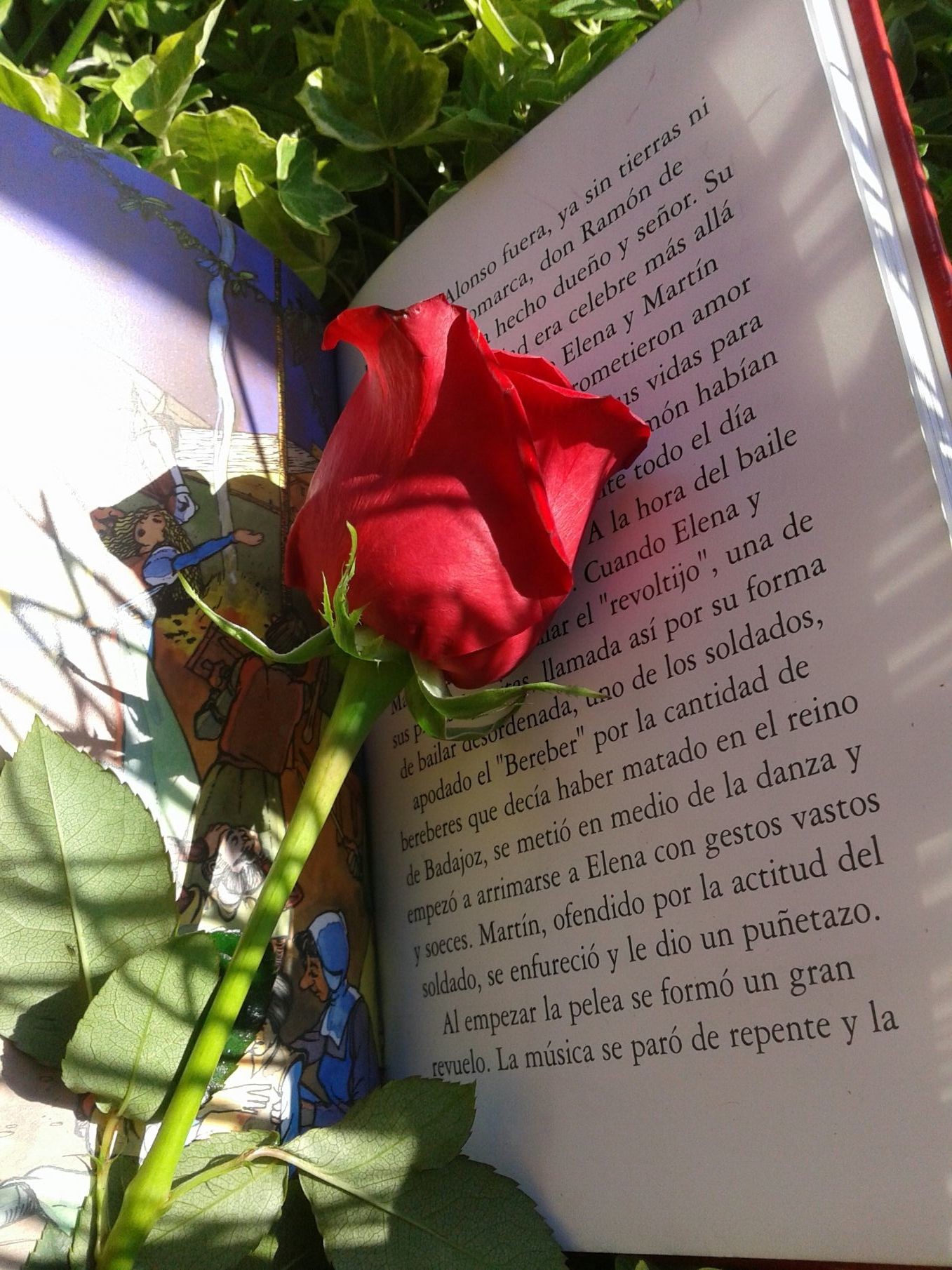 Floridea os desea un feliz San Jorge.
