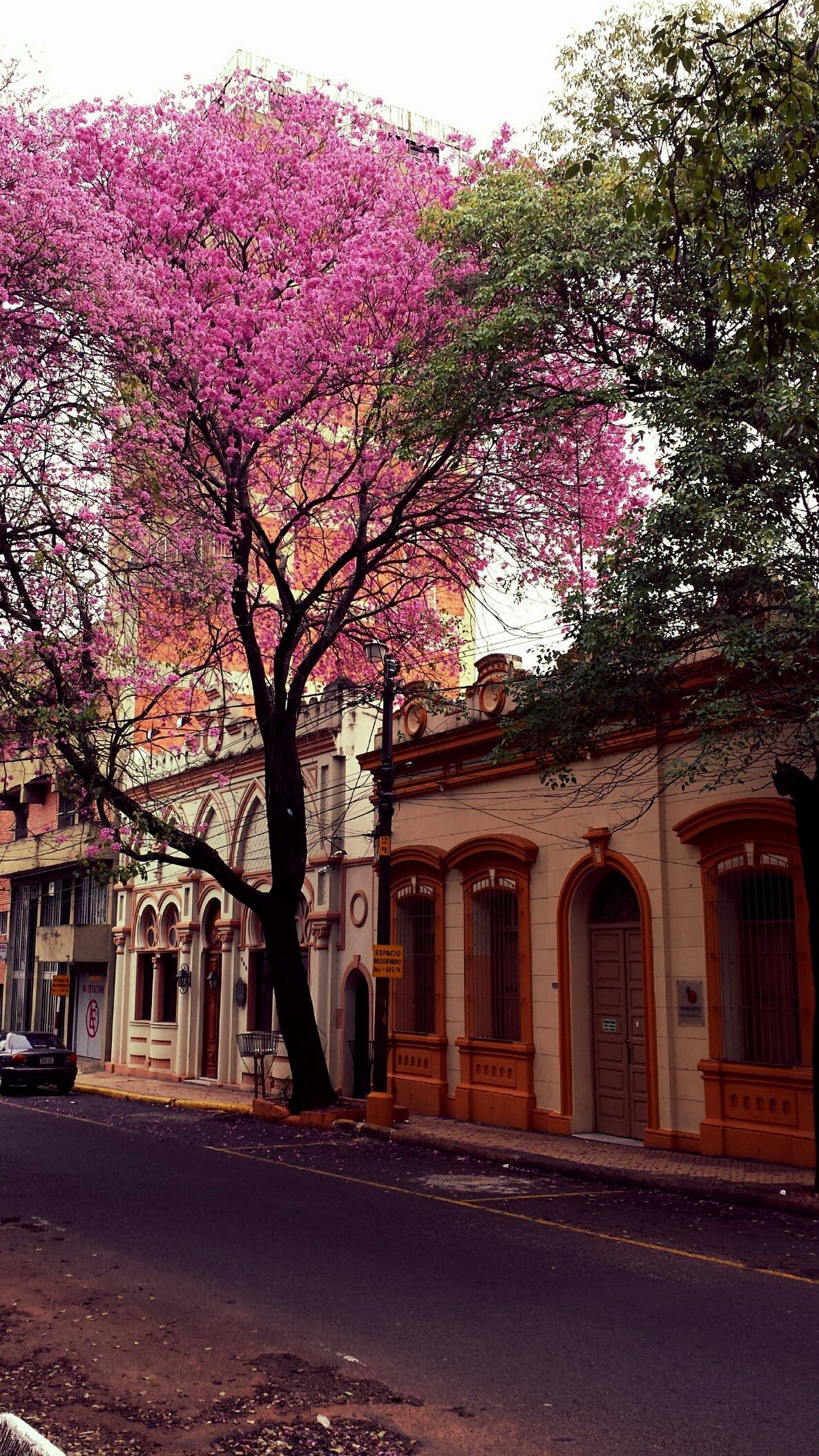 Calle Yegros casi Manuel Domínguez