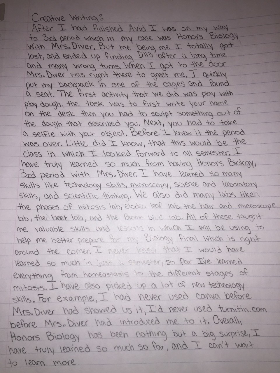 (Creative writing. Story)
