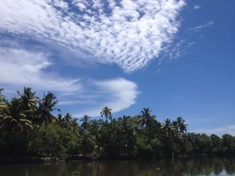 Kerala " God's Own Country" - in Distress