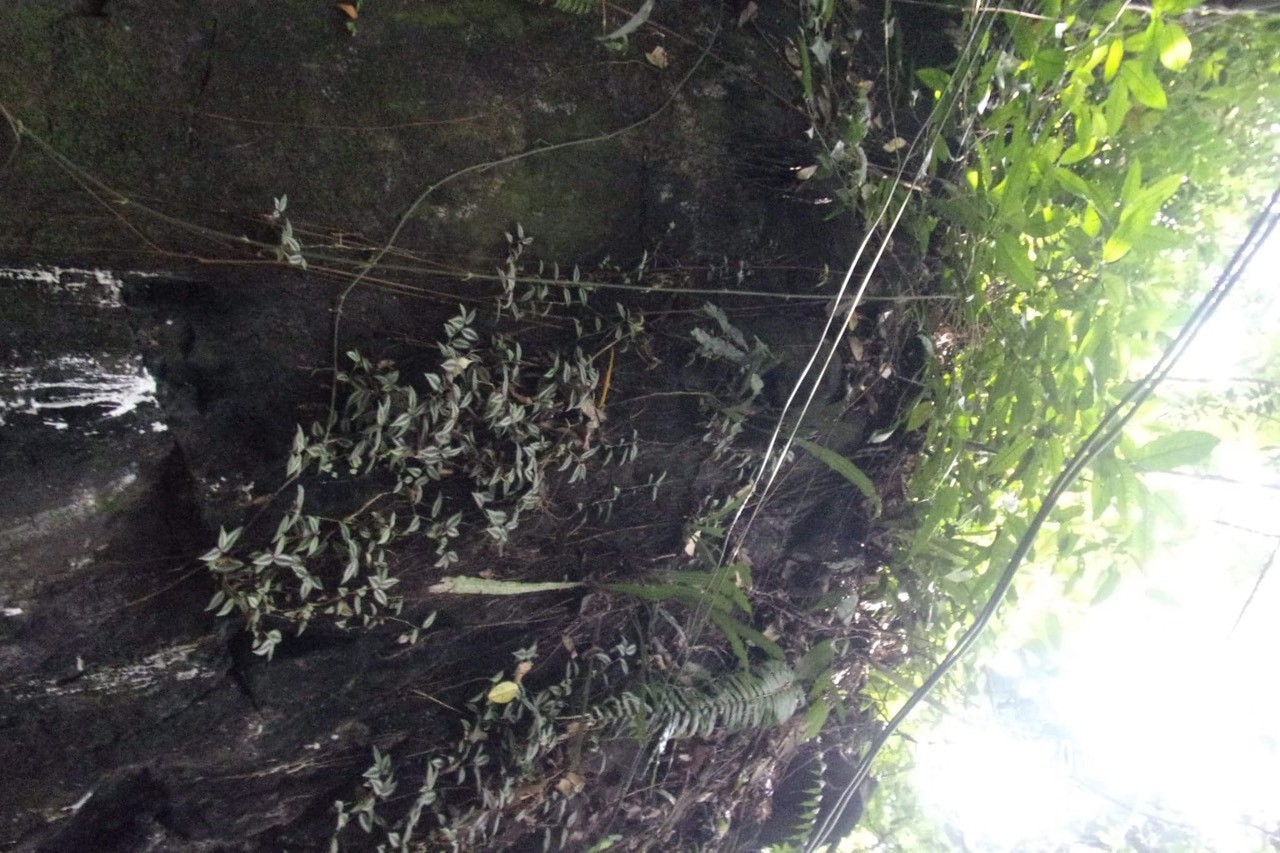 The last is also free fall. This wall is very high and full of plants and trees. Leaves fall from trees as it falls like a free falling object. Any thing or item can free fall from this structure it can be also a uniform accelerated object.