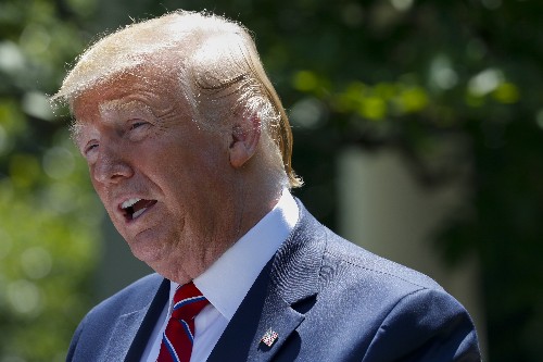 Democrats worry as Trump unleashes money on 2020 digital ads