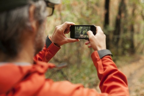 How to Crop Pictures on iPhone (Without an Editing App)