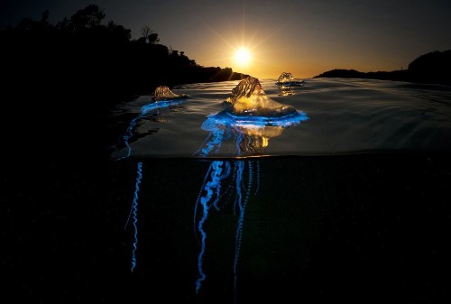 2014 National Geographic Photo Contest