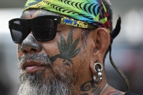 Weeding out foreigners: strains over Thailand's legalization of marijuana