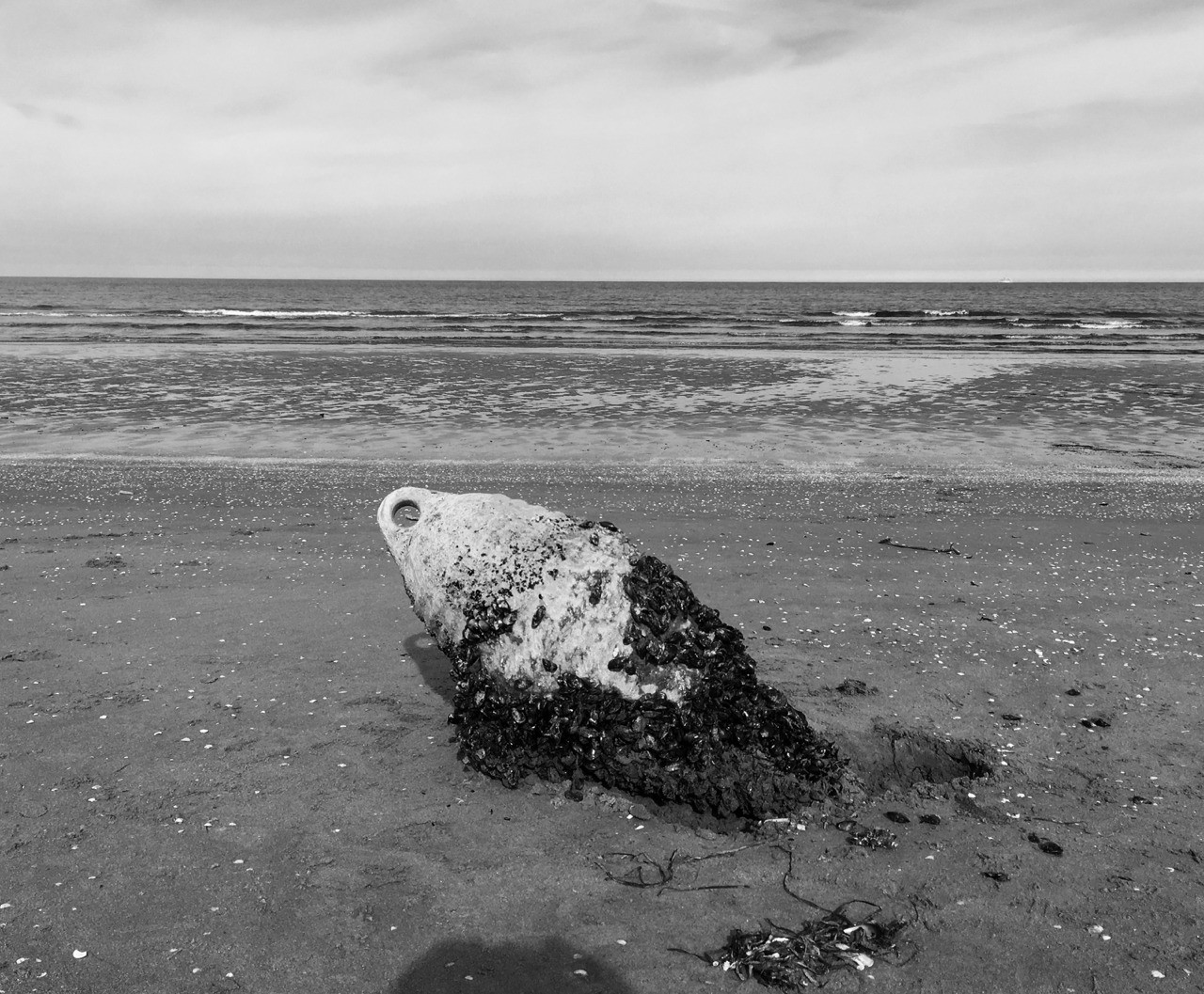 Il mare d'inverno