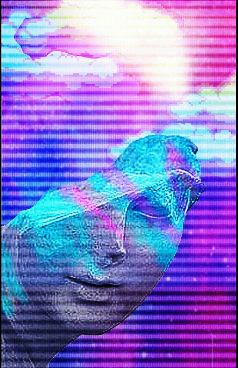 This is also something I made in photoshop last year and added it for the same reason as the other one