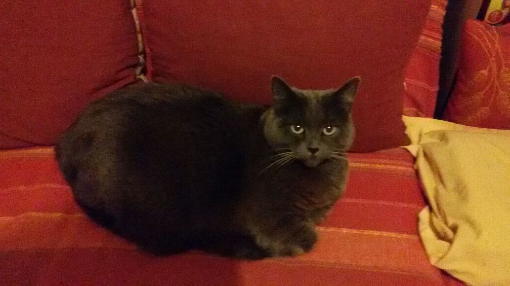 Mon bébé