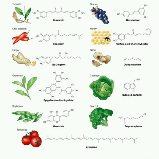 PhytoChemicals