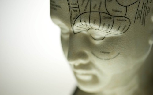Schizophrenia Isn’t One Disorder but Eight