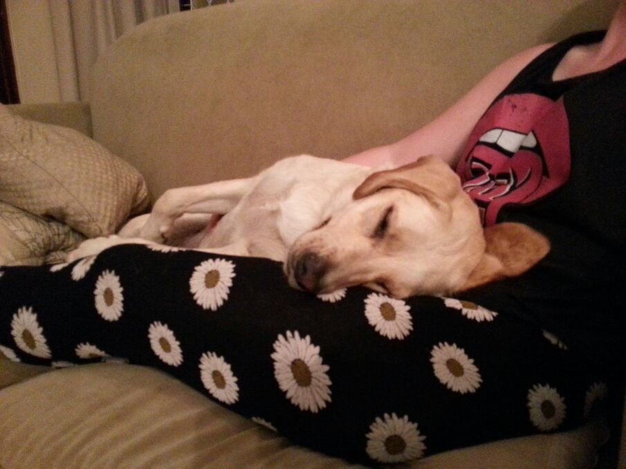 Softie....