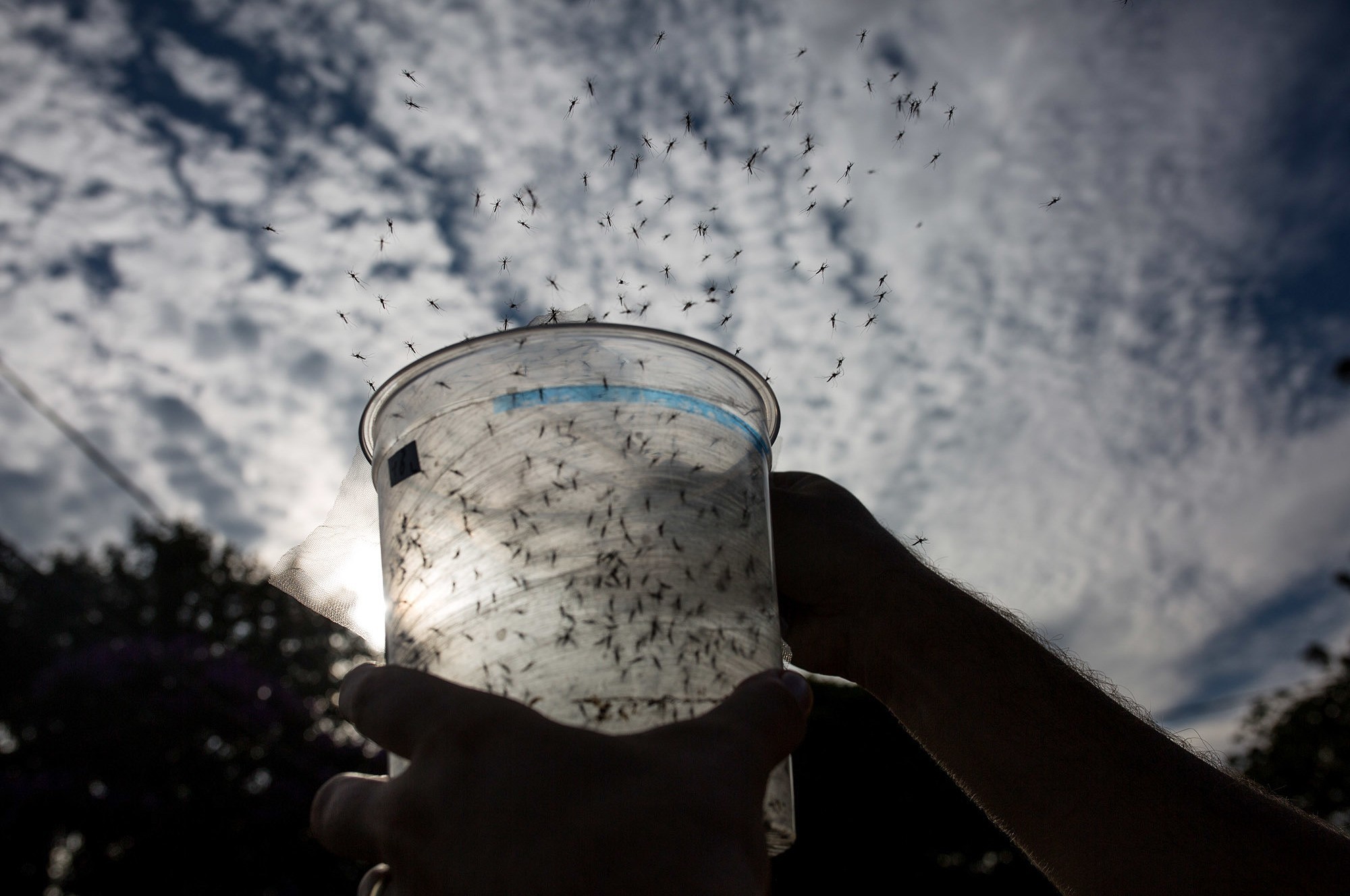 New Genetic Engineering Method Called Promising — And Perilous