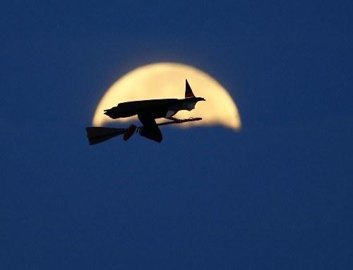 Pictures of the Week 10.9.14