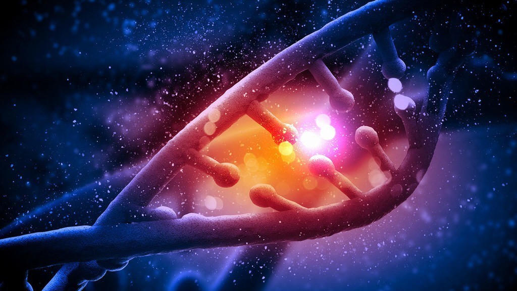 This Startup Will Make You A Personalized Health Plan Based On Your Genes