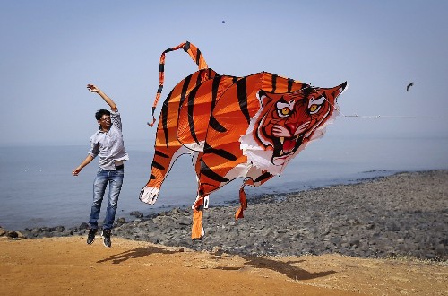 Pictures of the Week 1.10.14