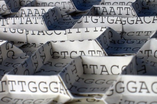 There’s a Mystery Machine That Sculpts the Human Genome