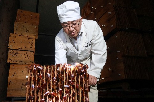 Bug business: Cockroaches corralled by the millions in China to crunch waste