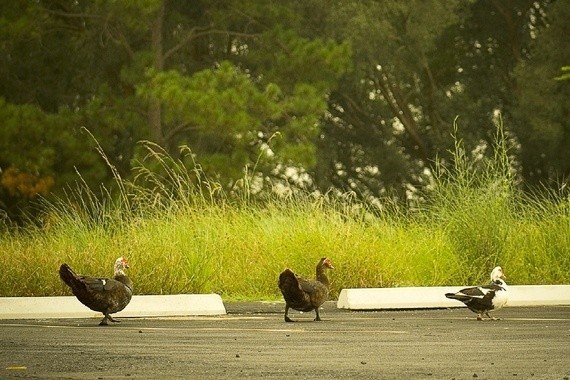 Why Are American Colleges Obsessed With 'Leadership'?