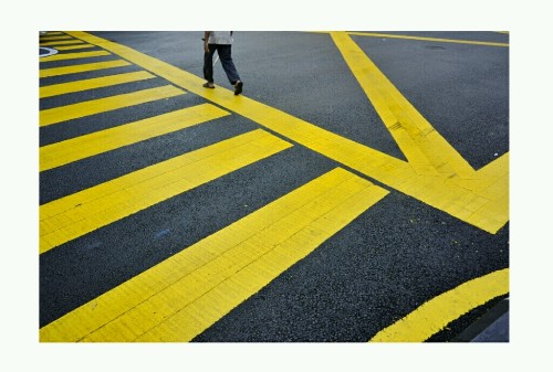 YELLOW LINES cover image