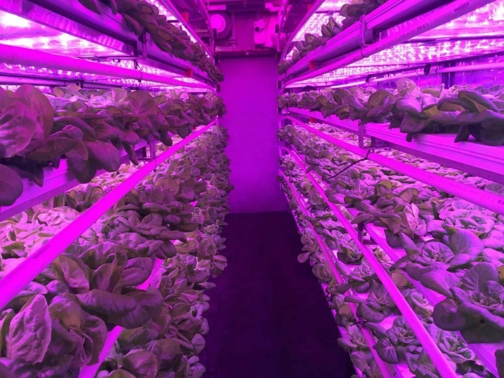 This shipping-container farm could someday solve the food desert problem