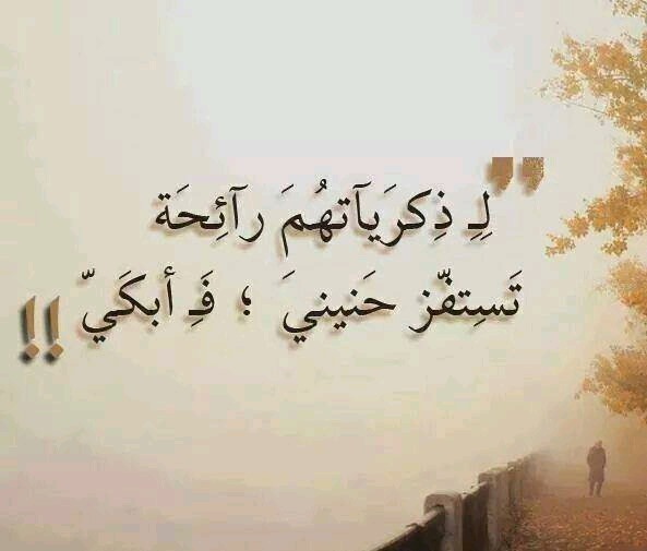 ÙØ§ØªÙ
ر ÙØ§ØªÙØ´Ø§Ù ÙØ§ØªÙشد شبÙÙ ØØ³Ø¨Ø§ÙÙ Ù
Ø«Ù٠عÙÙÙ Ø§ÙØ¨ÙÙ ÙØ§Ø°ÙÙ