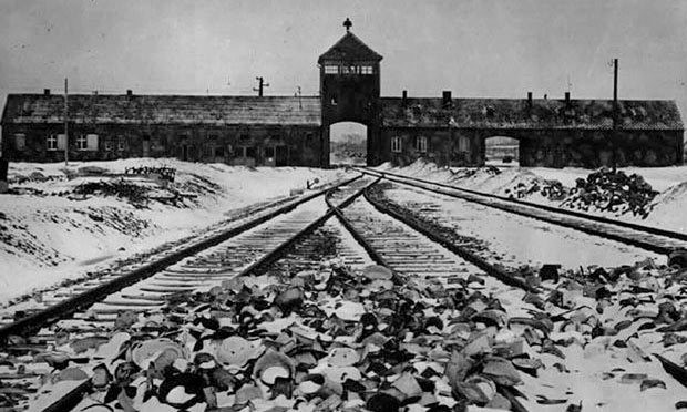 Tales from Auschwitz: survivor stories