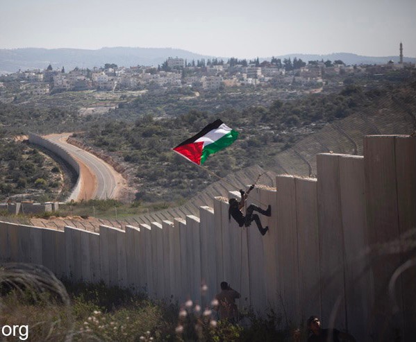 Free Palestine Now - cover