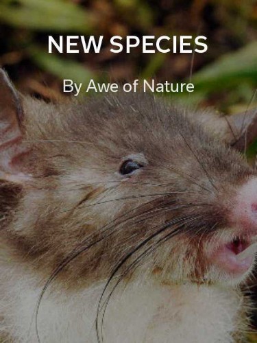 The Week in Review: New Species Found
