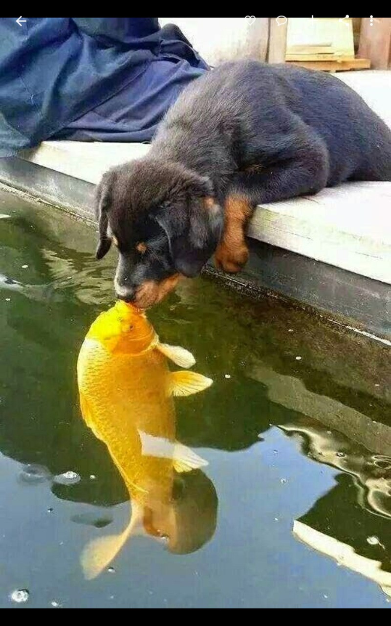 Kiss Me Quick! !