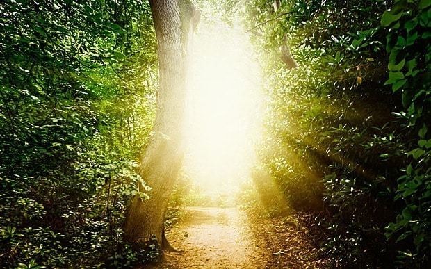 First hint of 'life after death' in biggest ever scientific study