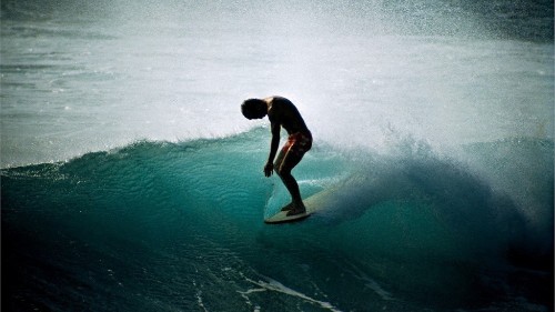 Can Surfing Reprogram the Veteran’s Brain?
