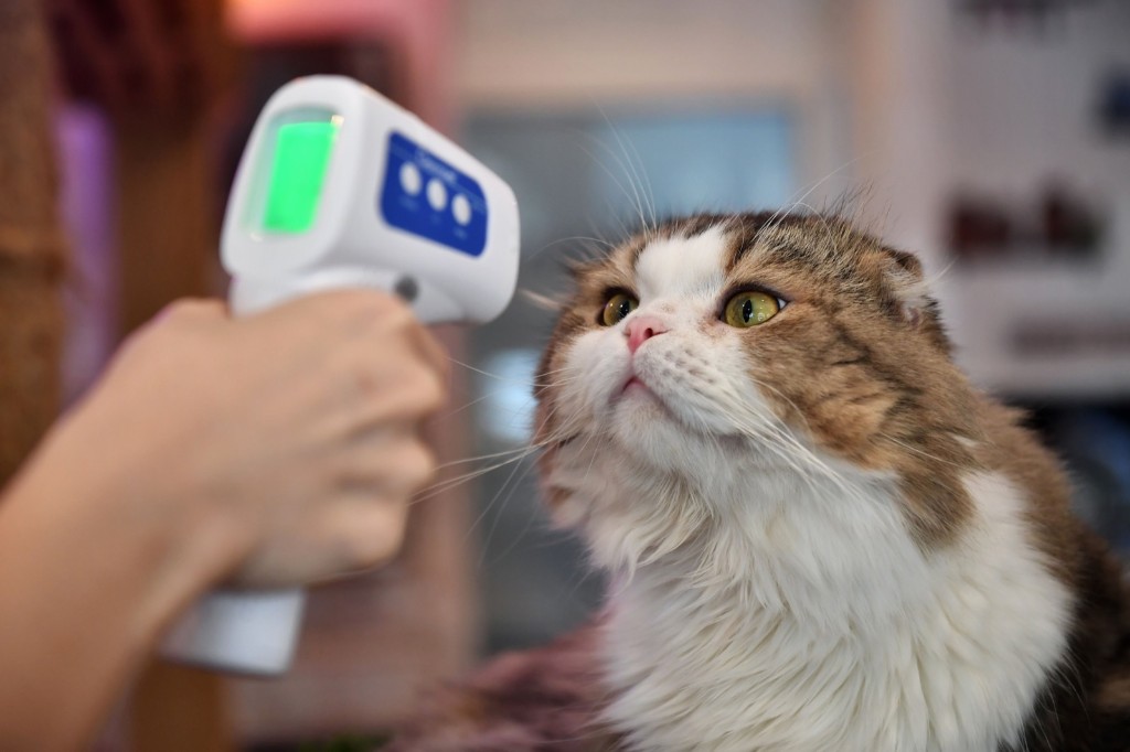 Coronavirus Daily Digest: May 15 Issue