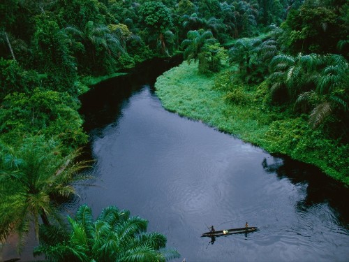 Rain Forests
