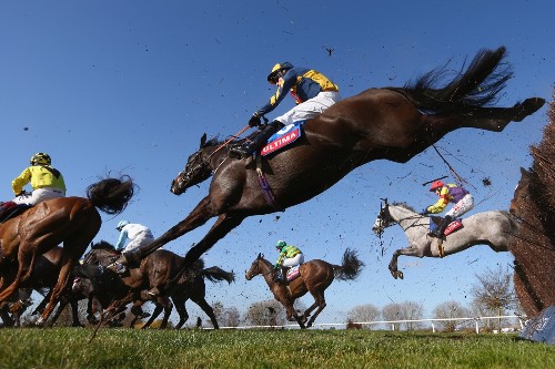 Off to the Races at Cheltenham