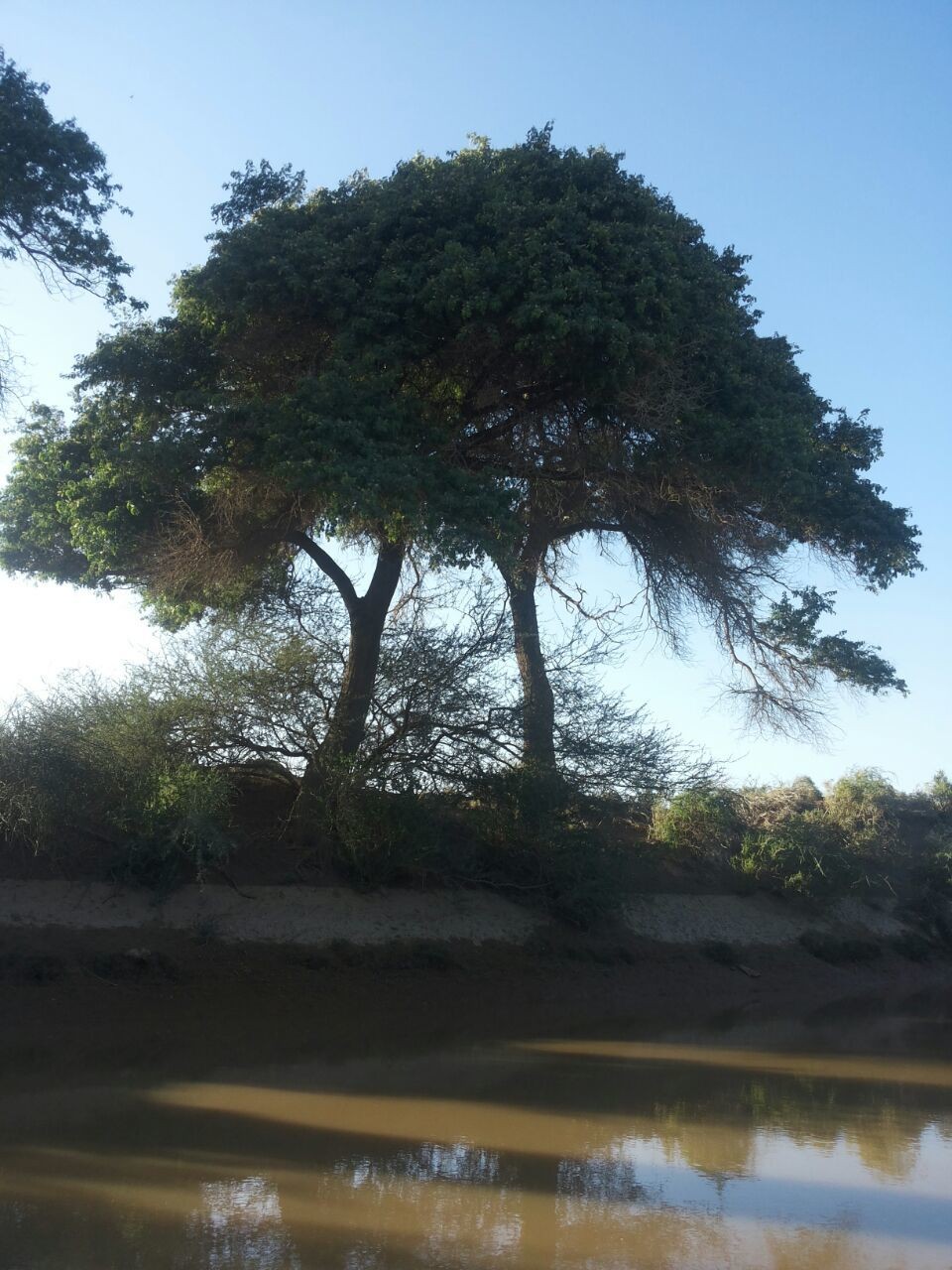 نعتز بقيمنا