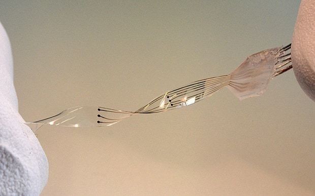 'Cyborg' spinal implant could help paralysed walk again